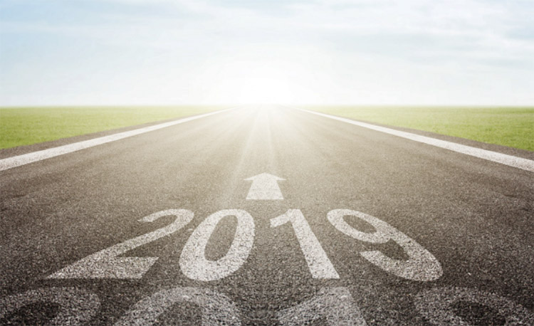 年中復盤 | 圣德保陶瓷2019年上半年在事記